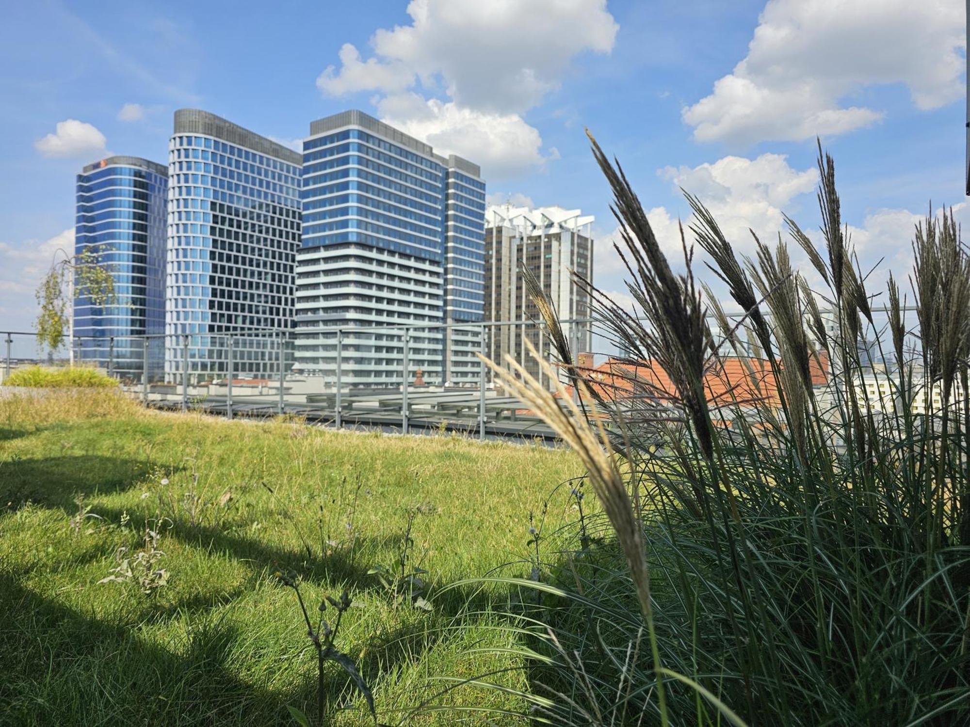 Urban Apartments Premium, Opolska 10 No 21, Free Garage, Self Check-In Katowice Zewnętrze zdjęcie